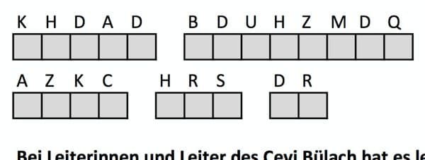 Ausschnitt aus dem Cevi Rätsel