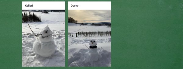 Zwei Schneemänner, die Kolibri und Ducky gebaut haben